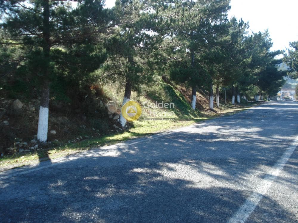 Οικόπεδο στην Κερασιά, Τετραχώρι — Φωτογραφία 14 από 14