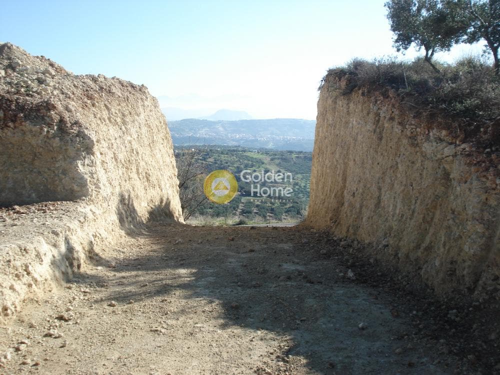 Οικόπεδο στην Κερασιά, Τετραχώρι — Φωτογραφία 5 από 14