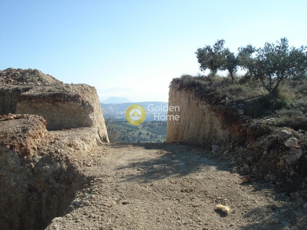 Οικόπεδο στην Κερασιά, Τετραχώρι — Φωτογραφία 2 από 14