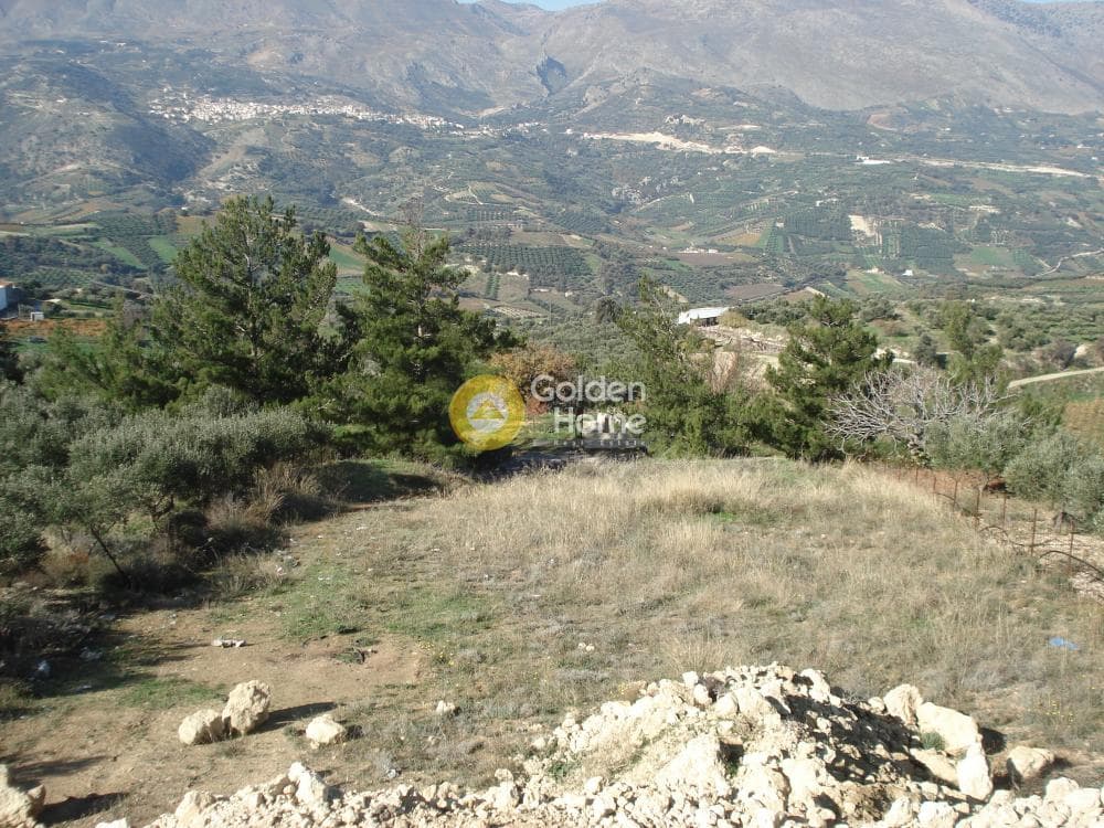 Οικόπεδο στην Κερασιά, Τετραχώρι — Φωτογραφία 7 από 14