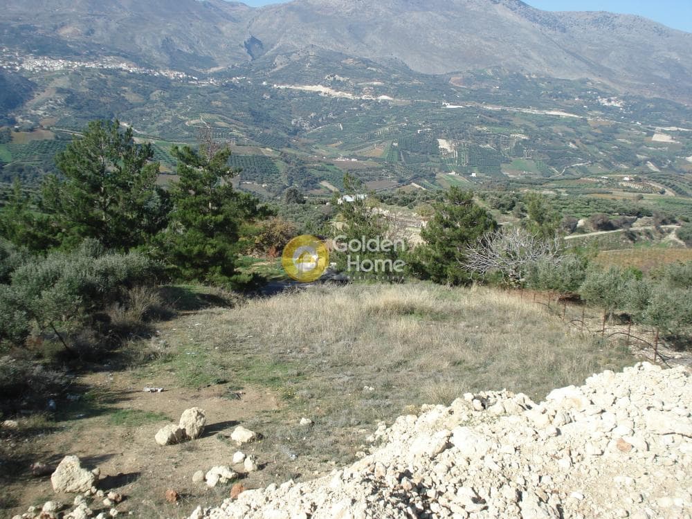 Οικόπεδο στην Κερασιά, Τετραχώρι — Φωτογραφία 10 από 14