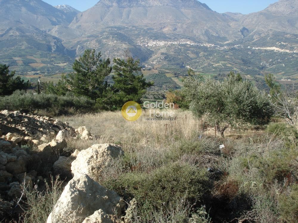 Οικόπεδο στην Κερασιά, Τετραχώρι — Φωτογραφία 9 από 14