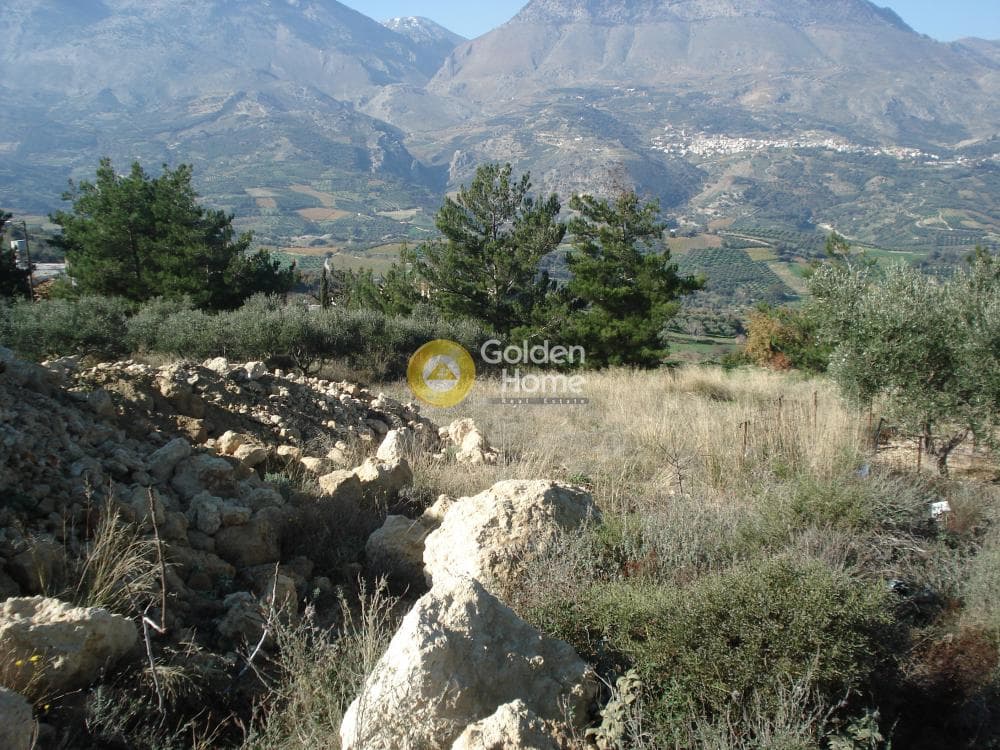 Οικόπεδο στην Κερασιά, Τετραχώρι — Φωτογραφία 12 από 14