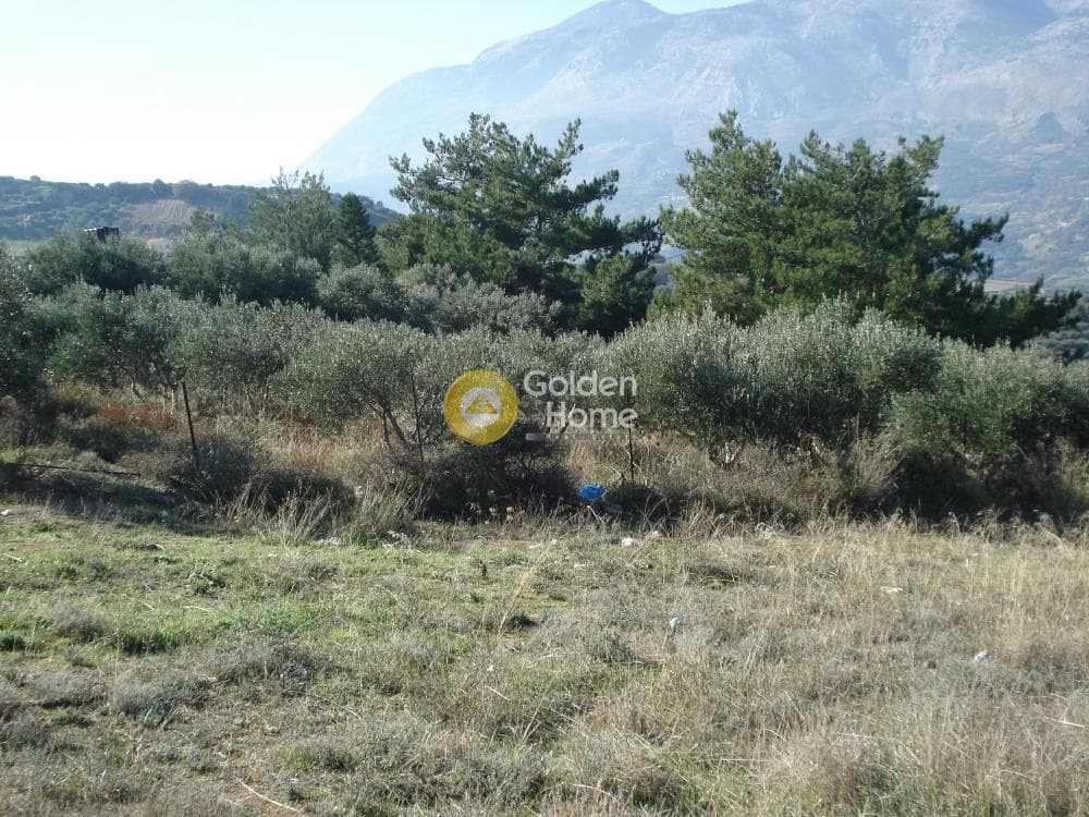 Οικόπεδο στην Κερασιά, Τετραχώρι — Φωτογραφία 11 από 14