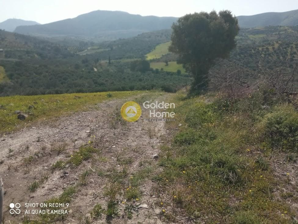Building Plot in Kouses, Moires — Photo 1 of 4