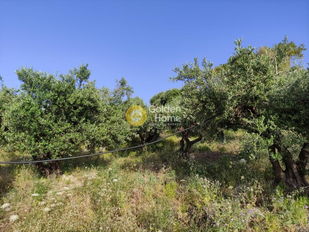 Building Plot in Patsides, Archanes — Photo 10 of 11
