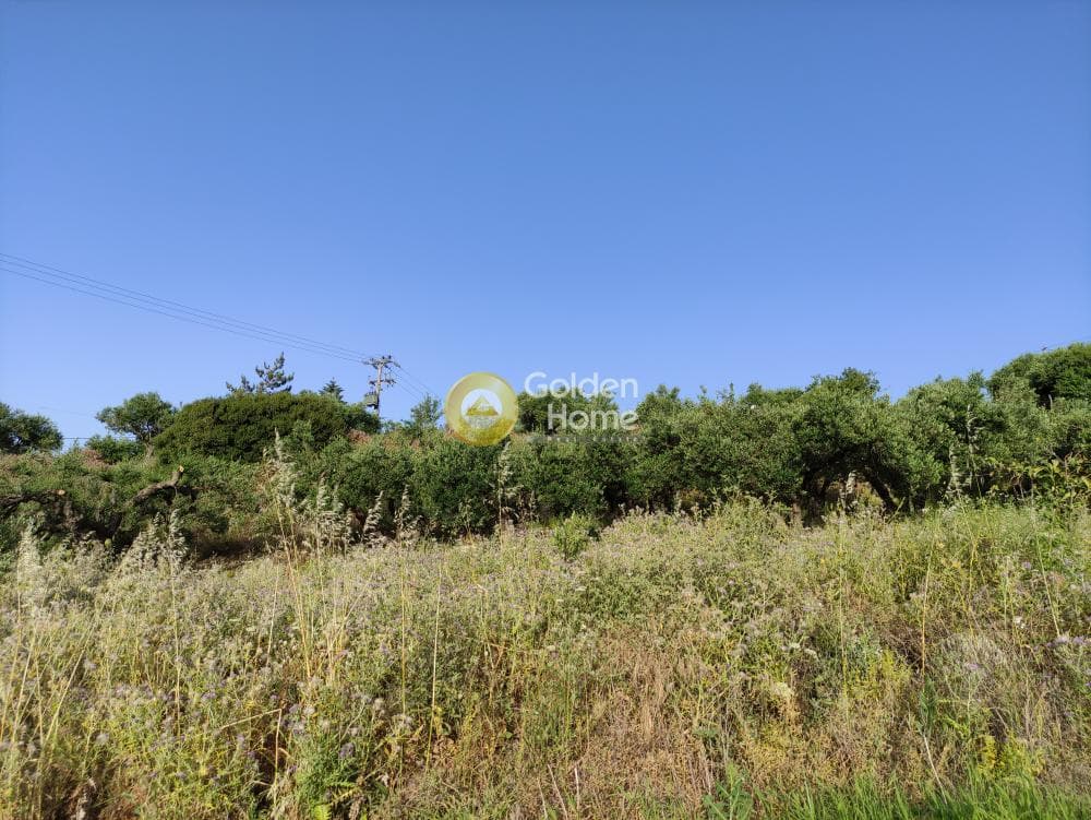 Building Plot in Patsides, Archanes — Photo 9 of 11