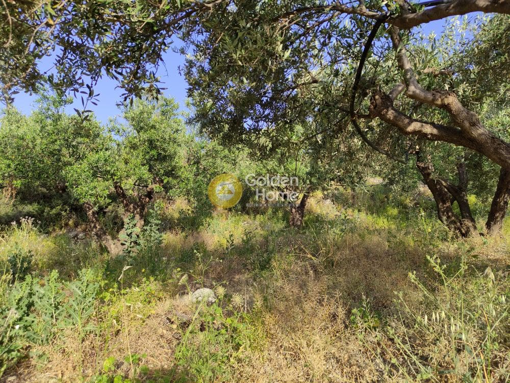 Building Plot in Patsides, Archanes — Photo 11 of 11