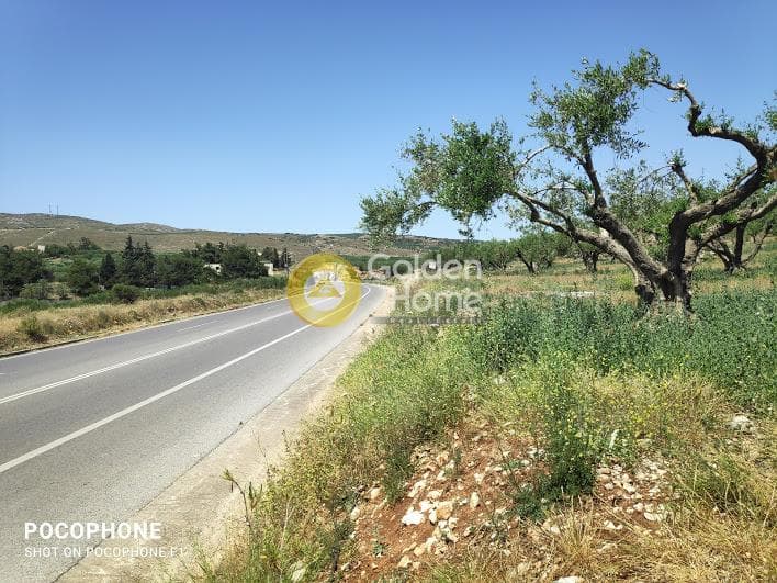 Parcel in Meleses, Archanes — Photo 1 of 31