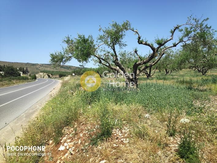 Parcel in Meleses, Archanes — Photo 2 of 31
