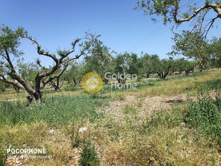 Parcel in Meleses, Archanes — Photo 4 of 31