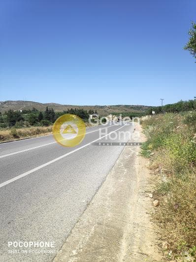 Parcel in Meleses, Archanes — Photo 5 of 31
