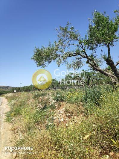 Parcel in Meleses, Archanes — Photo 11 of 31