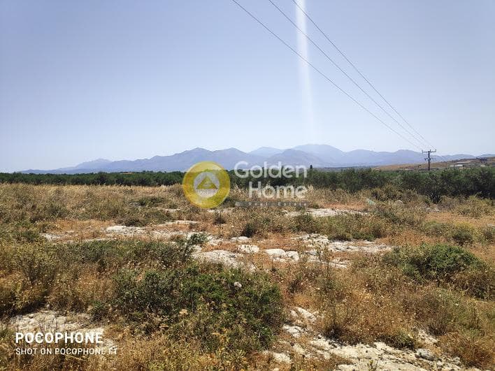Parcel in Meleses, Archanes — Photo 10 of 31