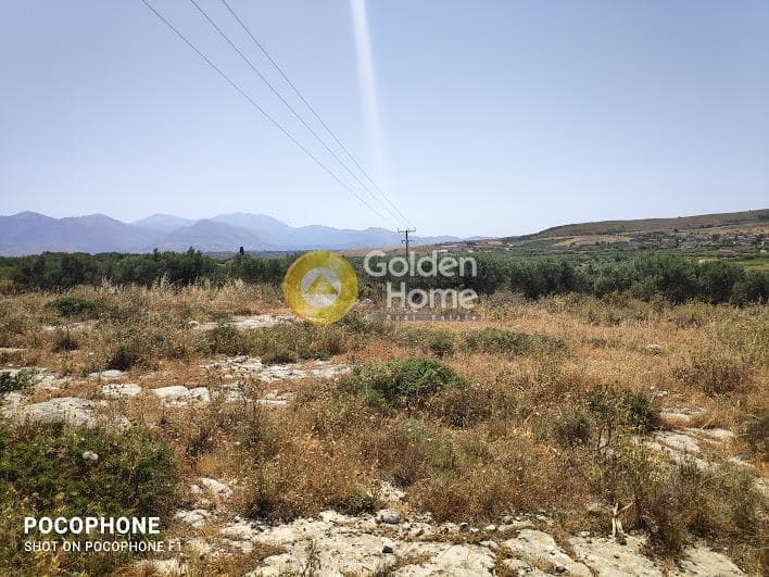 Parcel in Meleses, Archanes — Photo 9 of 31