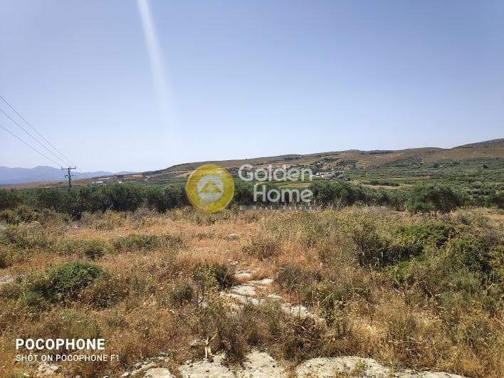 Parcel in Meleses, Archanes — Photo 8 of 31