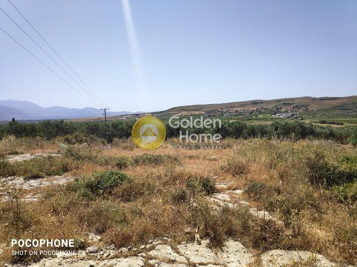 Parcel in Meleses, Archanes — Photo 7 of 31