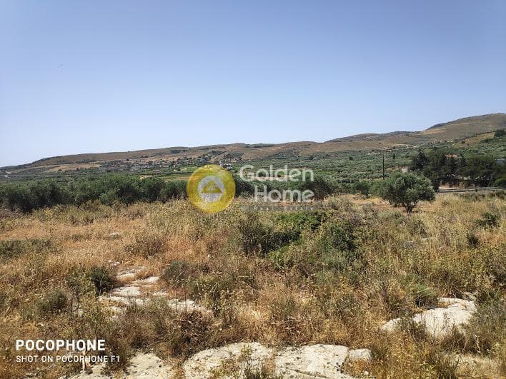 Parcel in Meleses, Archanes — Photo 6 of 31