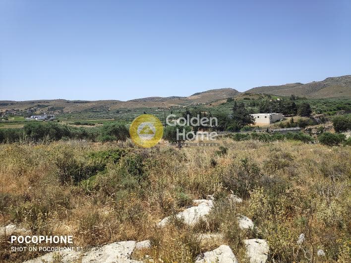 Parcel in Meleses, Archanes — Photo 17 of 31