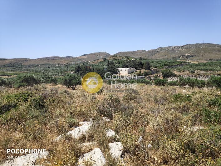 Parcel in Meleses, Archanes — Photo 16 of 31