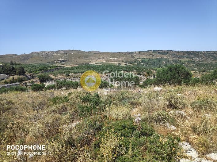 Parcel in Meleses, Archanes — Photo 15 of 31