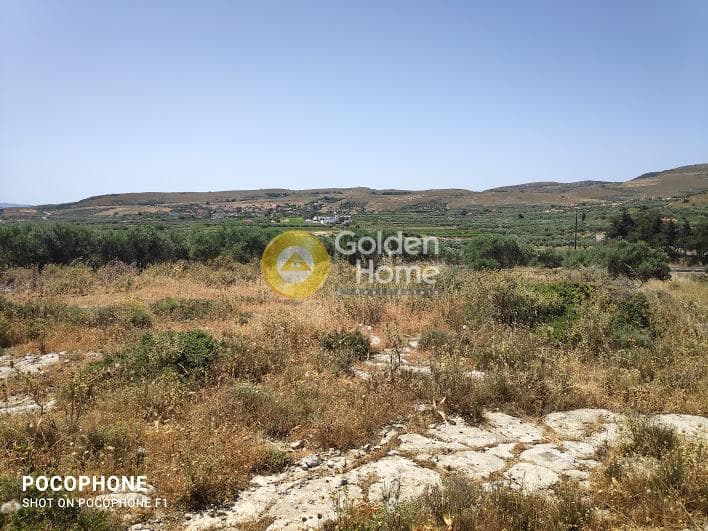 Parcel in Meleses, Archanes — Photo 14 of 31