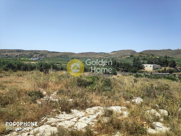 Parcel in Meleses, Archanes — Photo 13 of 31