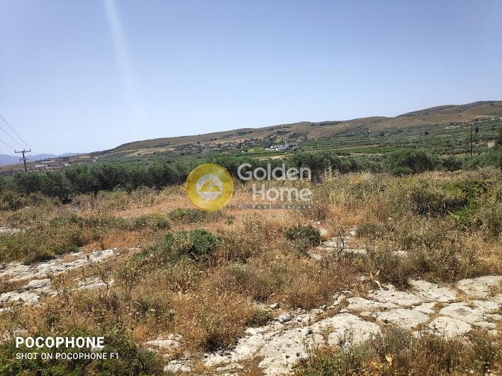 Parcel in Meleses, Archanes — Photo 12 of 31