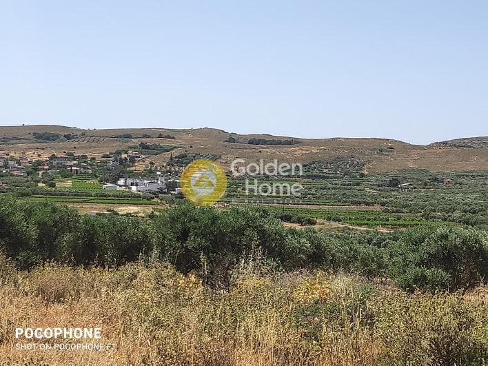 Parcel in Meleses, Archanes — Photo 22 of 31