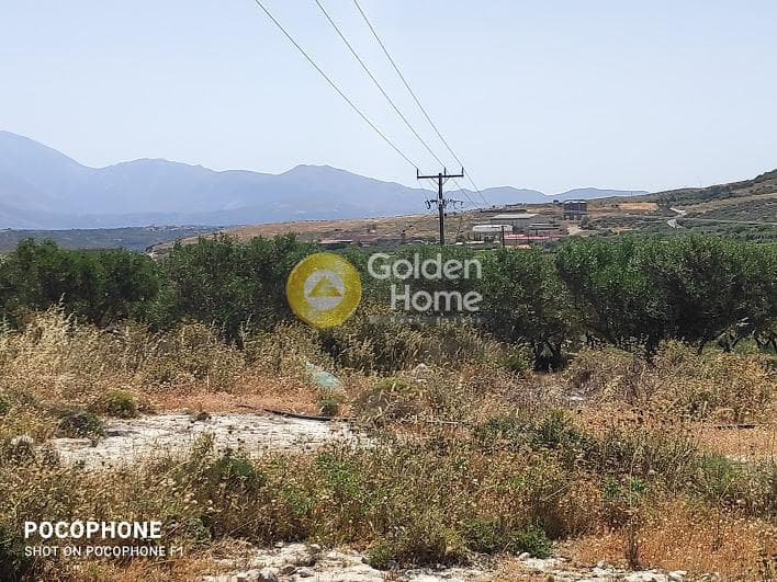 Parcel in Meleses, Archanes — Photo 21 of 31