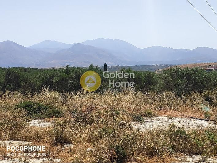 Parcel in Meleses, Archanes — Photo 20 of 31