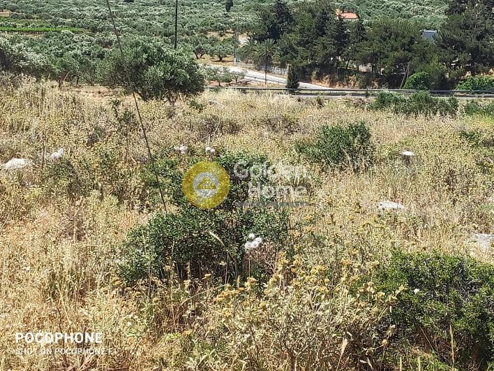 Parcel in Meleses, Archanes — Photo 19 of 31