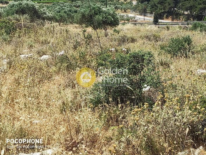 Parcel in Meleses, Archanes — Photo 29 of 31