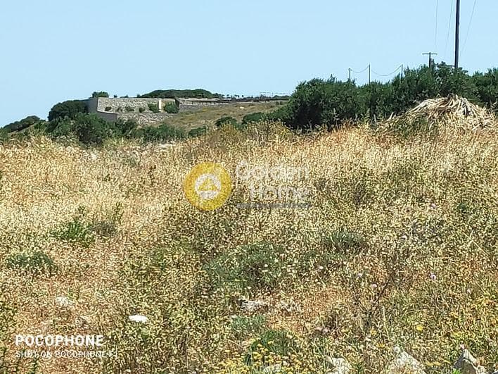 Parcel in Meleses, Archanes — Photo 28 of 31
