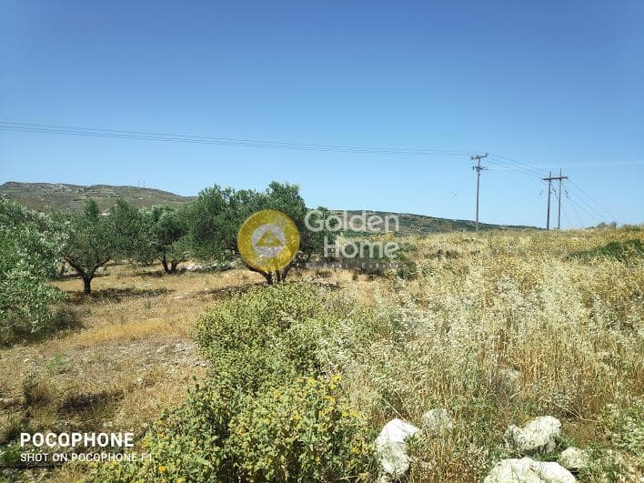 Parcel in Meleses, Archanes — Photo 27 of 31