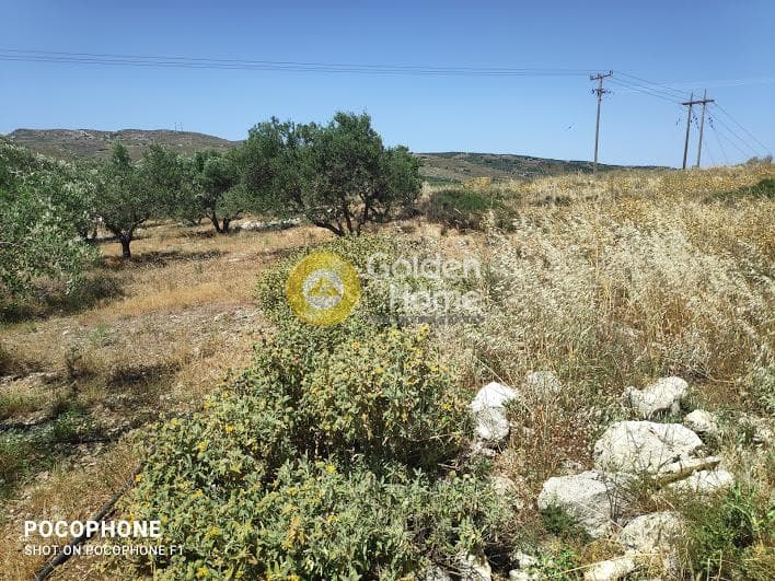 Parcel in Meleses, Archanes — Photo 26 of 31