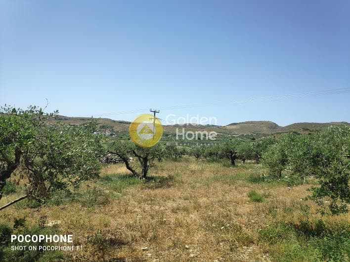Parcel in Meleses, Archanes — Photo 25 of 31