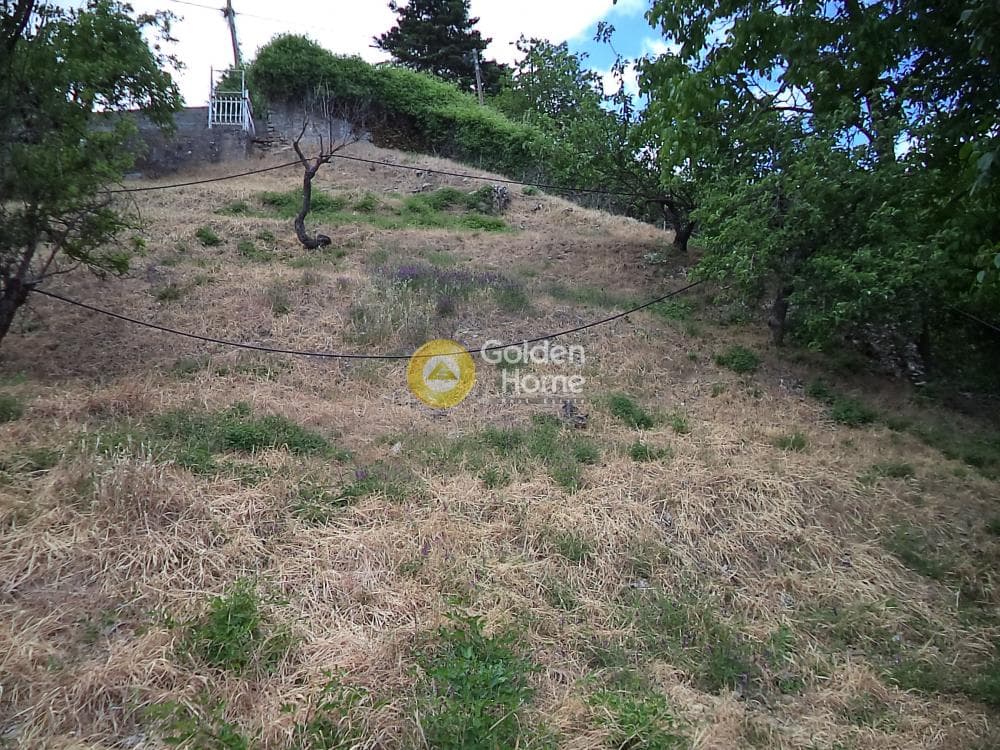 Μονοκατοικία στην Φτέρη, Αίγιο — Φωτογραφία 9 από 12