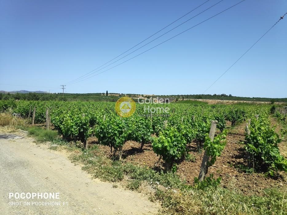 Parcel in Alagni, Arkalochori — Photo 1 of 19