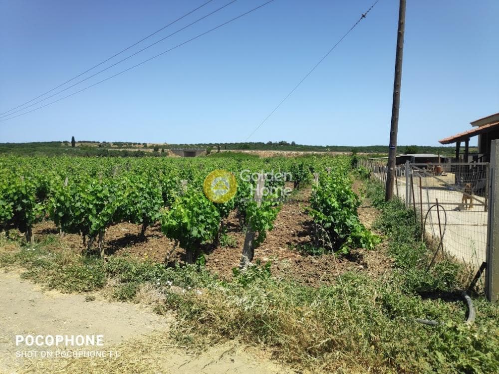Parcel in Alagni, Arkalochori — Photo 6 of 19
