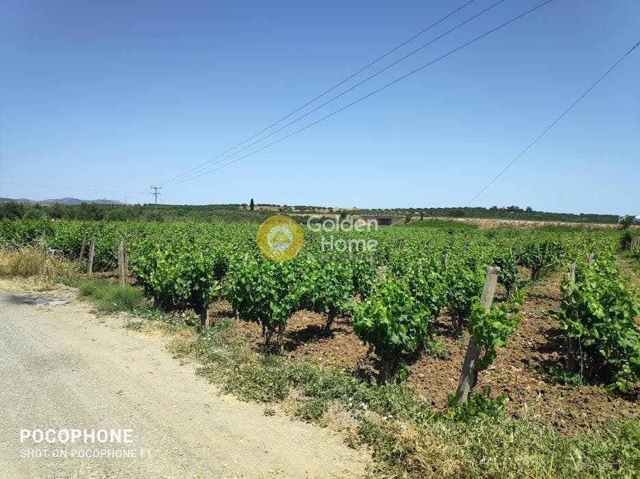 Parcel in Alagni, Arkalochori — Photo 5 of 19