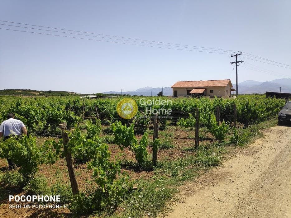 Parcel in Alagni, Arkalochori — Photo 11 of 19