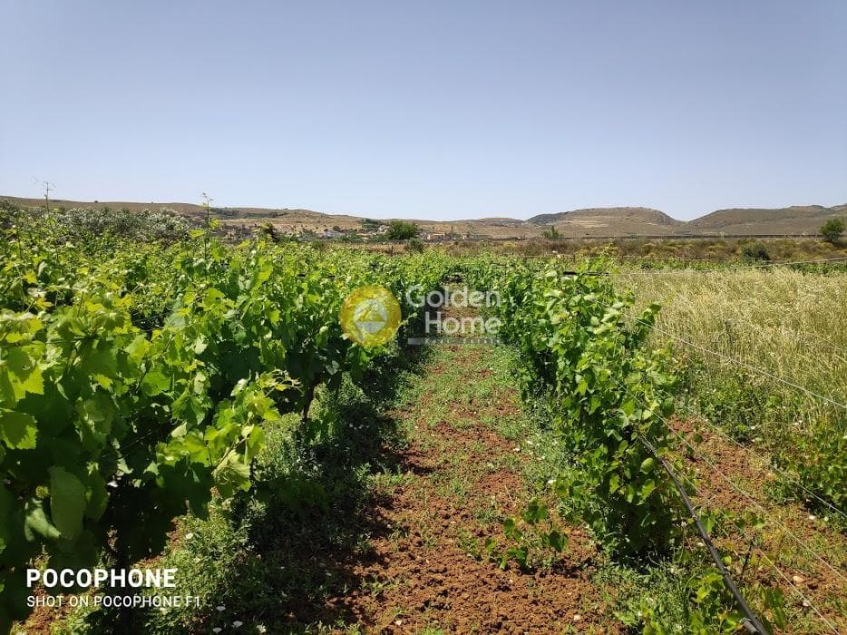 Parcel in Alagni, Arkalochori — Photo 19 of 19