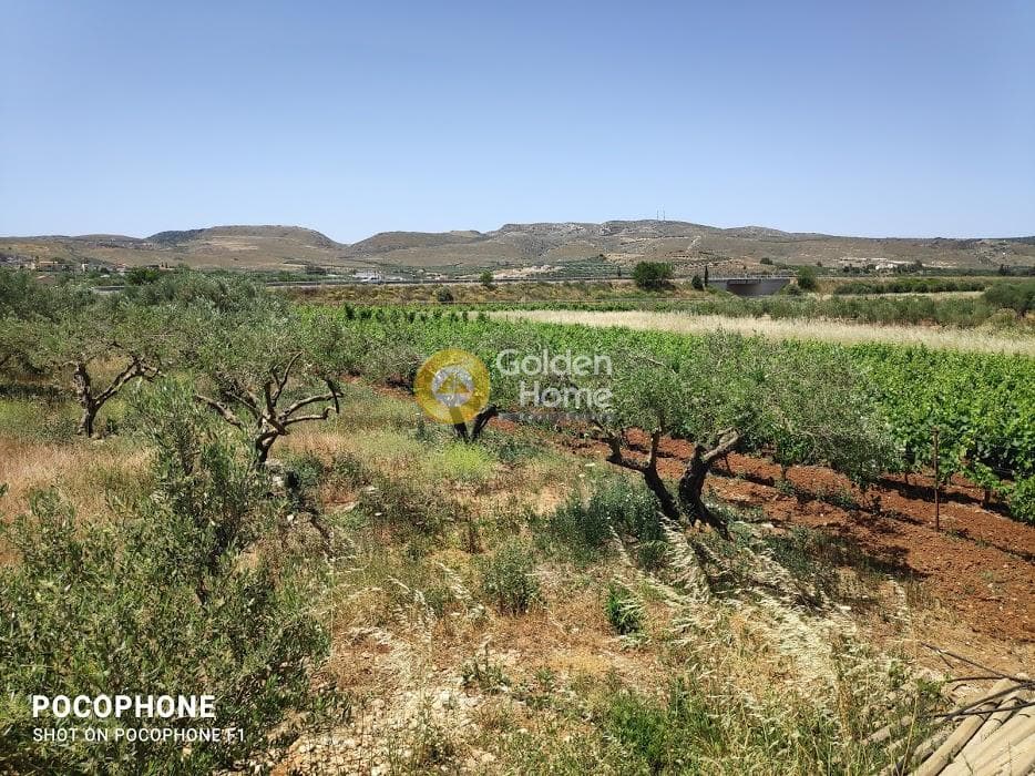Parcel in Alagni, Arkalochori — Photo 1 of 31