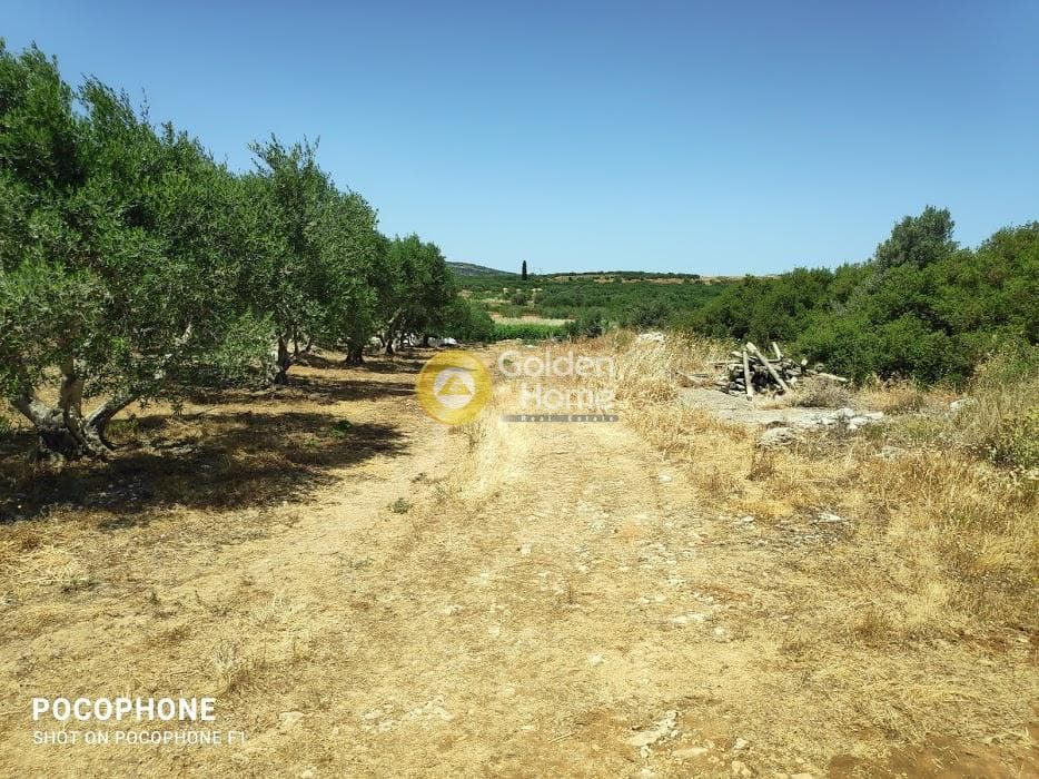 Parcel in Alagni, Arkalochori — Photo 4 of 31