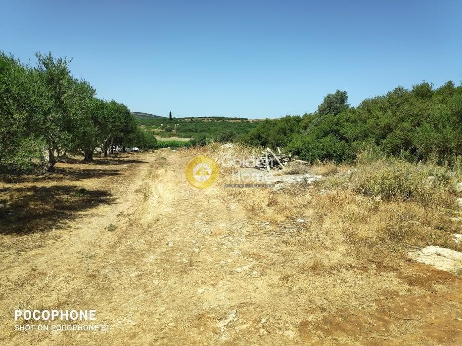 Parcel in Alagni, Arkalochori — Photo 5 of 31
