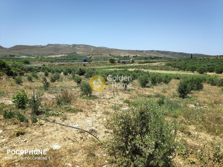 Parcel in Alagni, Arkalochori — Photo 6 of 31