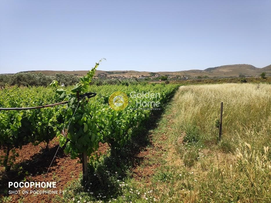 Parcel in Alagni, Arkalochori — Photo 21 of 31