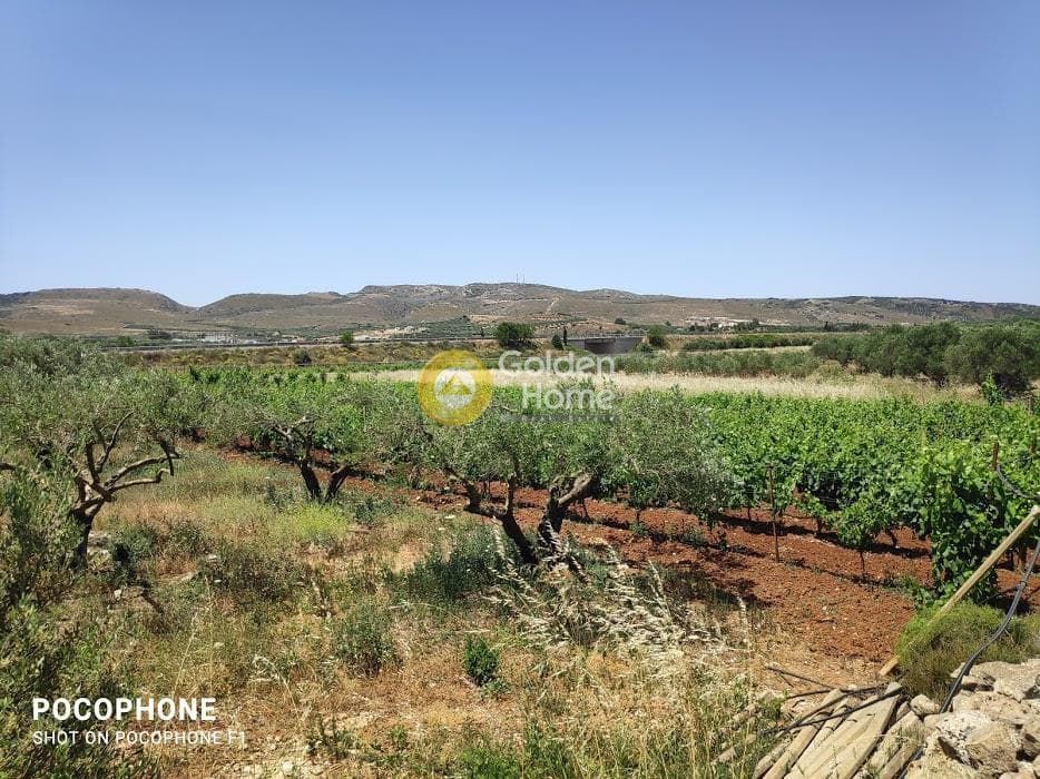 Parcel in Alagni, Arkalochori — Photo 26 of 31