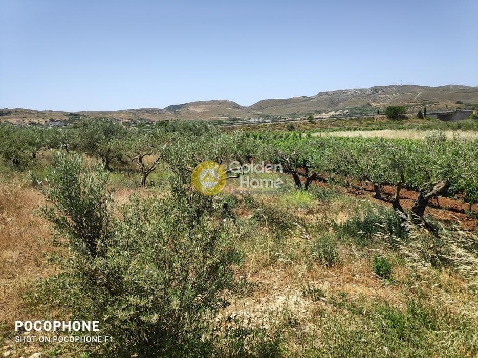 Parcel in Alagni, Arkalochori — Photo 27 of 31
